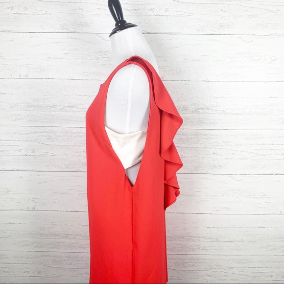 Coco & Felicity • Ruffle Back Shift Dress - Picture 5 of 7